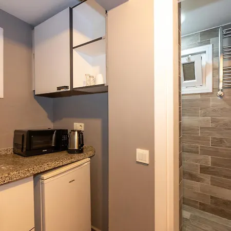 Lion Taksim Provincia di Istanbul