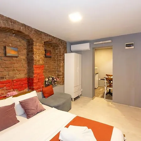 公寓式酒店 Lion Taksim 3*