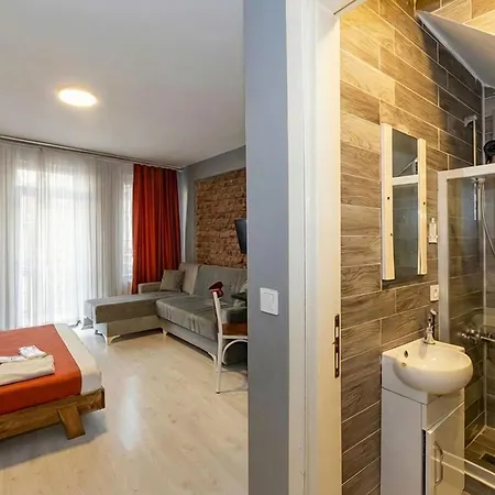 Lägenhetshotell Lion Taksim Istanbul