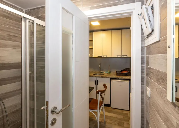 Lion Taksim 伊斯坦布尔