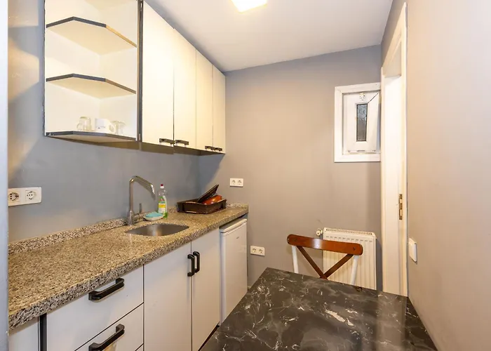 Lion Taksim اسطنبول