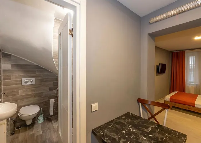 Lion Taksim شقة فندقية 3*