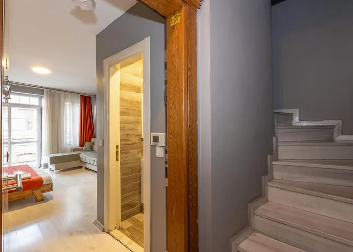 Lion Taksim 3* اسطنبول