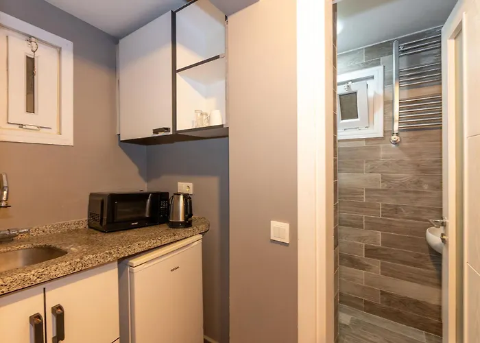 Lion Taksim اسطنبول