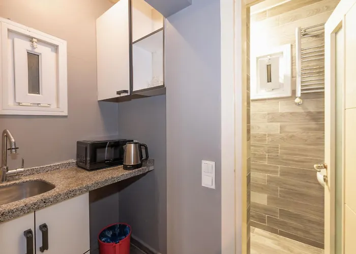 Lion Taksim شقة فندقية 3*