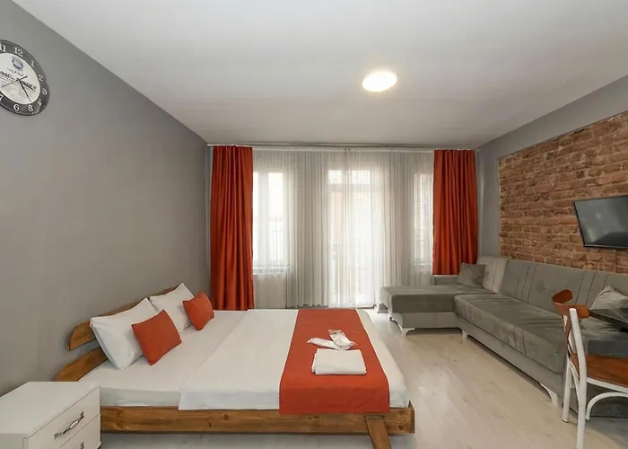 شقة فندقية Lion Taksim