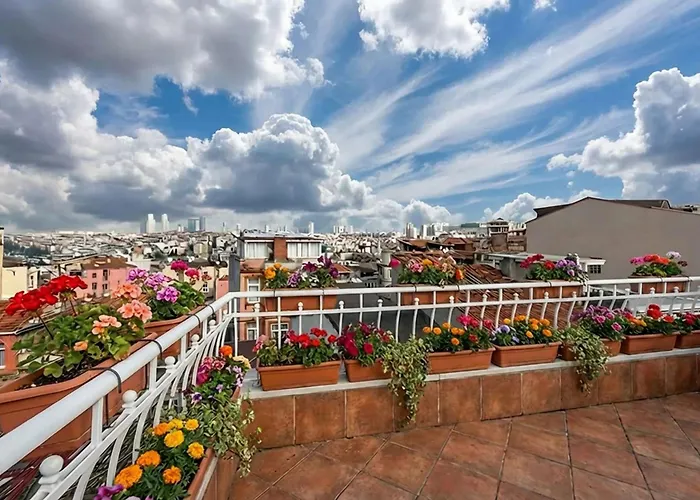 شقة فندقية Lion Taksim 3*